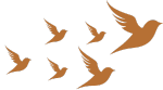 Flourishing Together Counseling Bird Icon